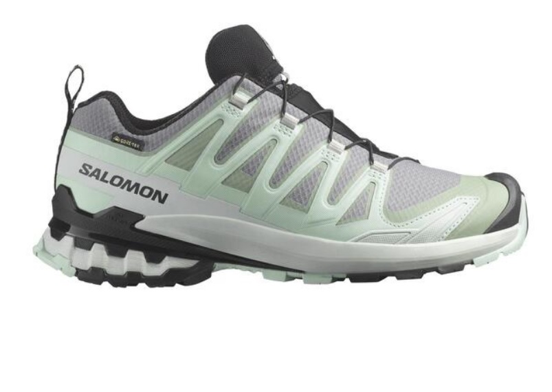 Salomon XA PRO 3D V9 GTX W schoenen voor dames